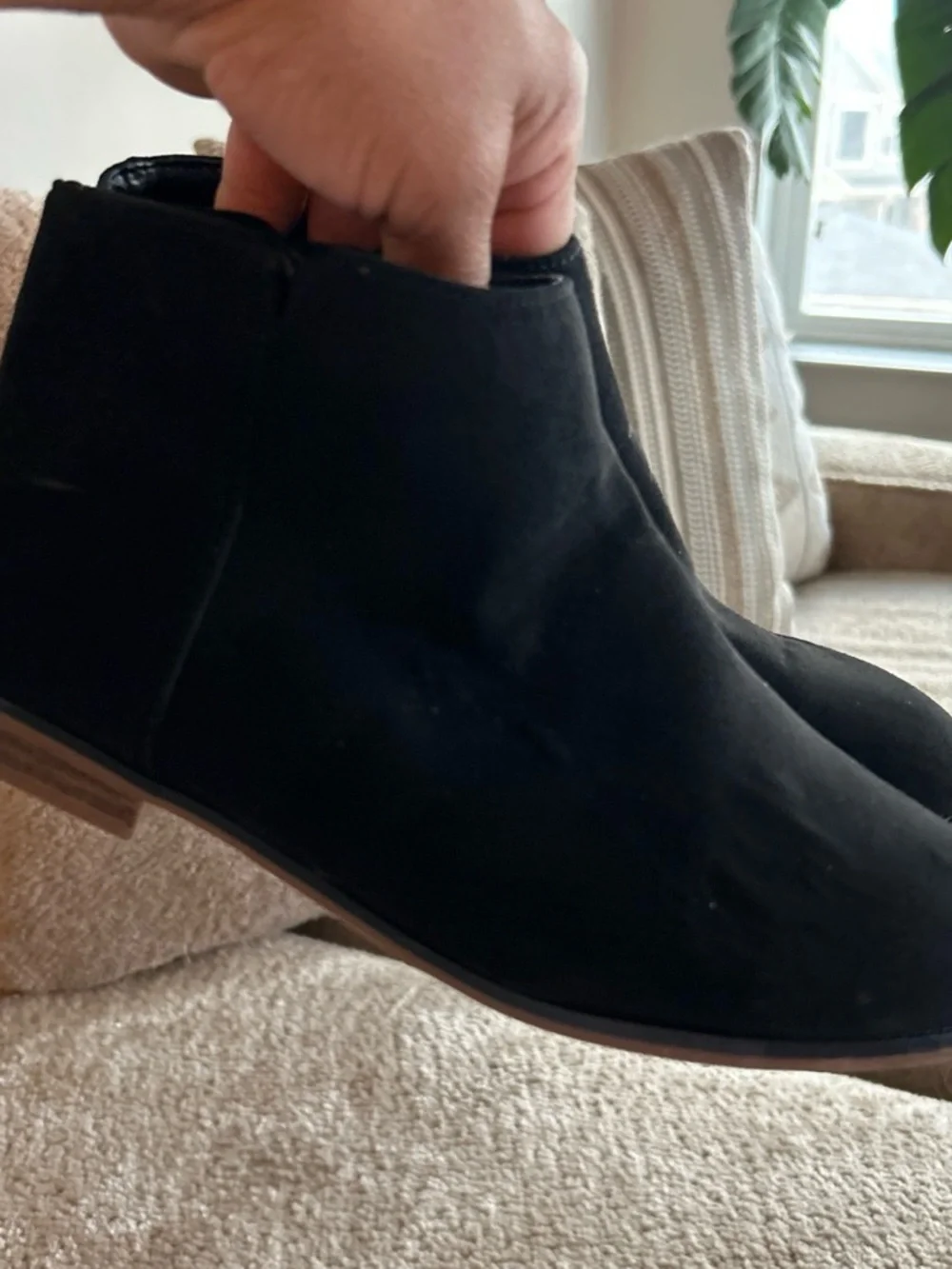 Cat & Jack classic black